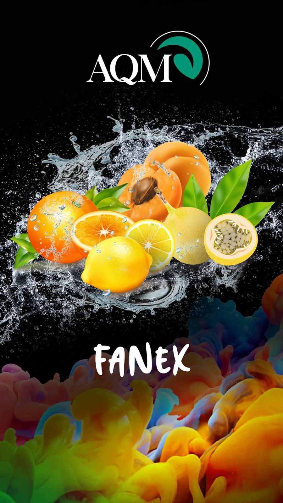 Fanex (7) | Aqua Mentha