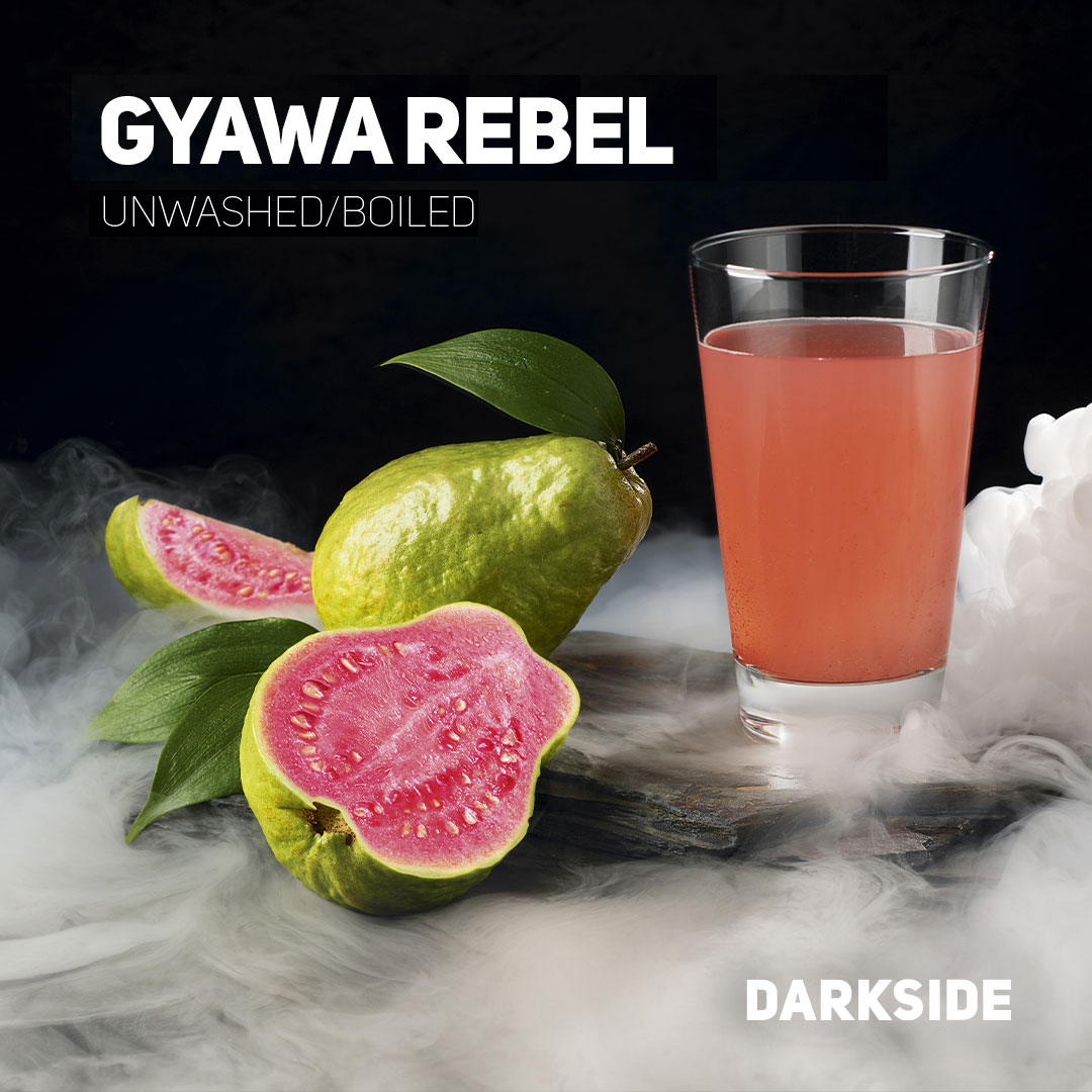 GYAWA REBEL | BASE | Darkside